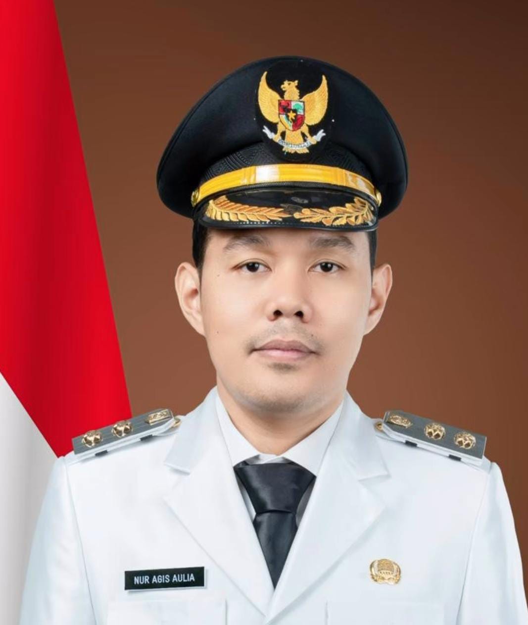 WAKIL WALI KOTA SERANG